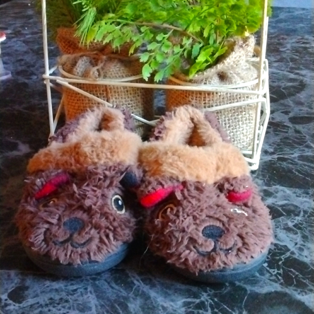 Toddler house shoes